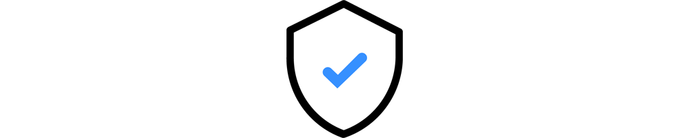 website security standard